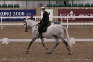 Lusitano Breed Society of Great Britain Show - Hartpury College - 27th June 2009